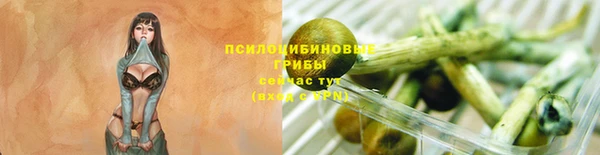 спайс Балабаново