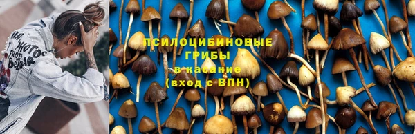 ALPHA-PVP Арсеньев