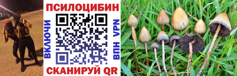 Псилоцибиновые грибы GOLDEN TEACHER  Купить где  Ленинск-Кузнецкий 